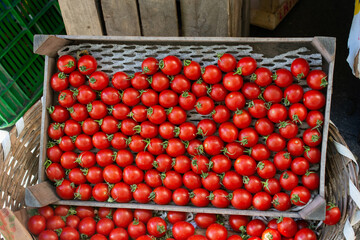 Ripe fresh delicious tomato vegetables in cases in bazaar market
