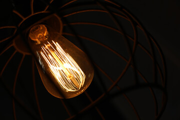 Stylish metallic pendant lamp with Edison light bulb indoors, closeup