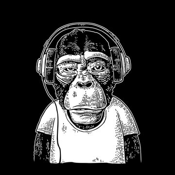 Monkey dressed t-shirt hear headphones. Vintage color engraving