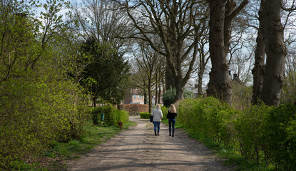 Uffelte Drenthe Netherlands. Walking the dog. Countryside. Village.