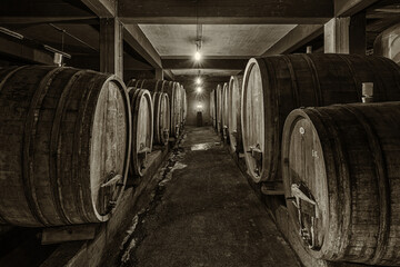 Wine cellar in Dalsheim Germany