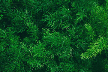 Leaves background, Natural pattern, Tropical abstract layout for pattern panel with copy space for design template.