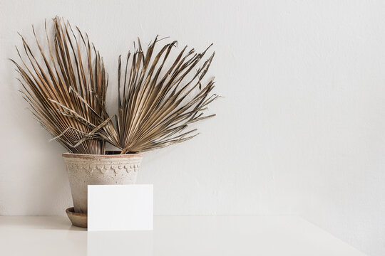 Boho interior still life scene. Blank business card mocku-up. Dry palm leaves in flower pot on table. White wall bacgkgound. Summer tropical design. Elegant working space, home office. Empty copy