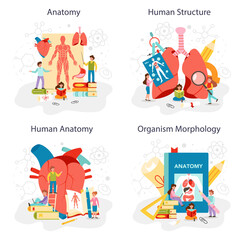 Anatomy school subject set. Internal human organ studying.