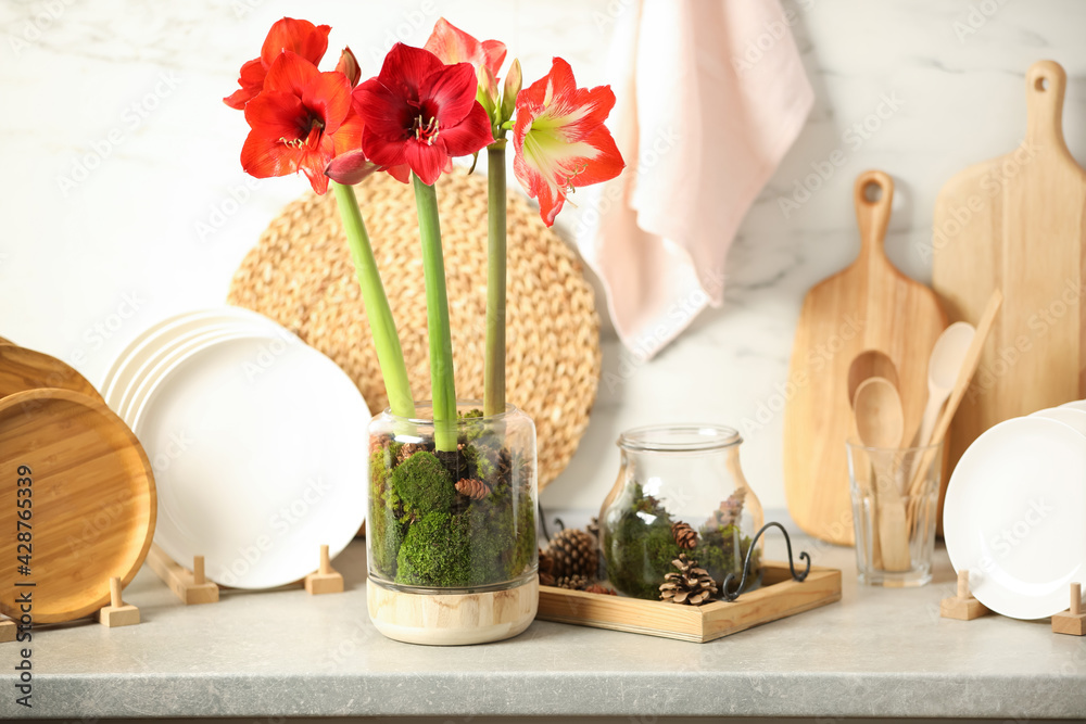 Canvas Prints Beautiful red amaryllis flowers and tableware on counter indoors