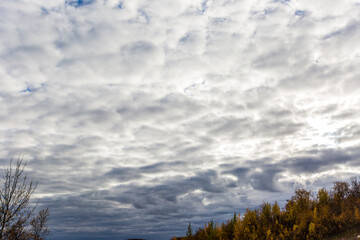 Autumn landscape in tundra, northern Norway. Europe