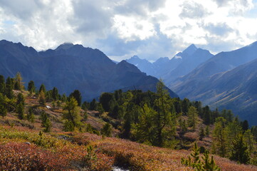 Fototapeta na wymiar Autumn in the mountains, Altai