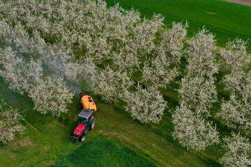Traitement phytosanitaire des arbres fruitiers