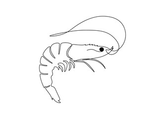 One line drawing of shrimp. Hand drawn prawn for seafood logo identity, restaurant icon, print. Minimal design vector illustration