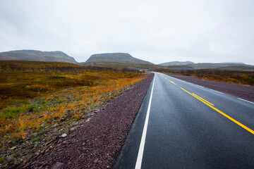 Autumn landscape in tundra, northern Norway. Europe
