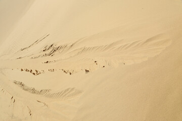 Structure in the sand, Migrating dune, migrating coastal dune, Demark, sand, sandy, unreal, sand...