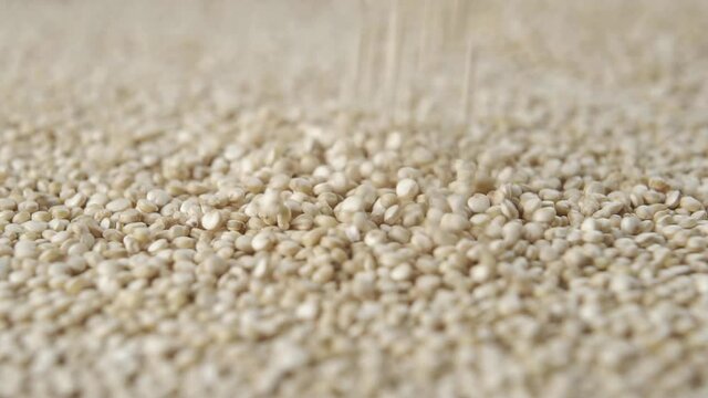 Falling uncooked quinoa grains into a heap in slow motion. Macro shot