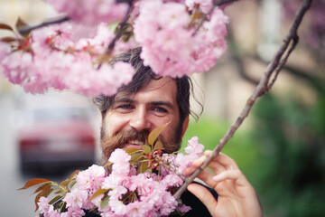 Obraz premium Bearded adult man with long mustache and gray hair near cherry blossom trees in spring