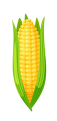 Cartoon corn cob half peeled from husk leaf on white