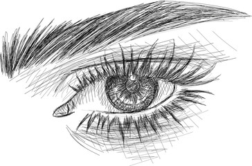 Obraz premium Realistic eye sketch - ink eye illustration 