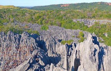 Madagascar incredible stone forest unique rock formations landscape of Tsingy de Bemaraha nature strict reserve in Madagascar. Dramatic forest of limestone needles in tropical rainforest.