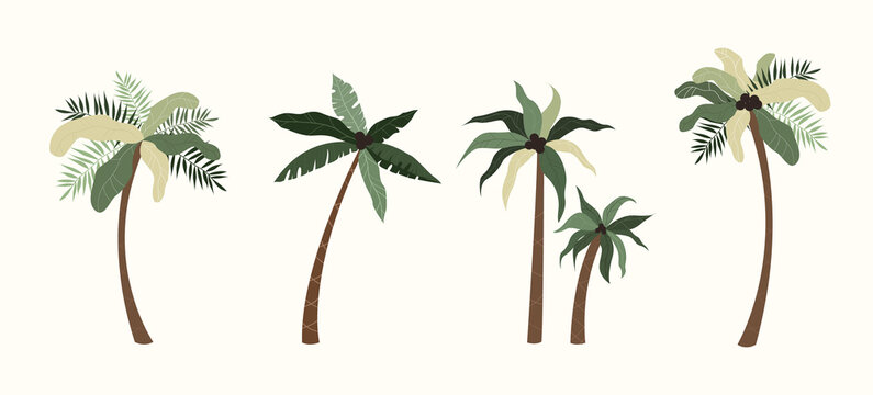 Palm trees isolated in hand drawn style. Modern tropical vector trees