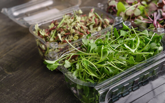 View at two plastic container with broccoli and red rambo radish microgreens