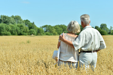 Back view. Happy elderly couple resting in field