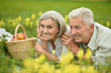 Loving elderly couple having a picnic posing in the summer