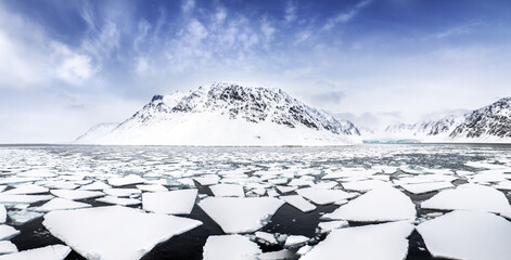 Mountains, fjords and pack ice panorama, Svalbard