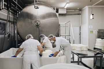 Manual workers in cheese and milk dairy production factory. Traditional European handmade healthy food manufacturing.
