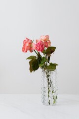 Fototapeta premium roses in vase