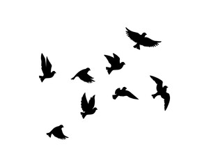 Naklejka na ściany i meble Flying birds silhouettes isolated on white background, vector. Birds illustration. Wall art, artwork, poster design. Freedom concept