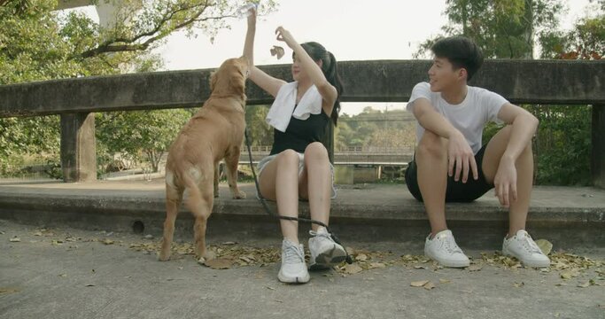 2 pretty and handsome male and female Teenage joyful happy smiling laughving playing pet brown hair dog golden retriver together outdoor at playground    