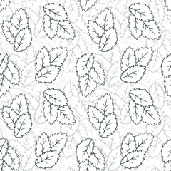 Seamless repeating three-leaf pattern with jagged edges like mint.Contour dark green objects on a white.