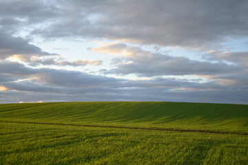 green field and cloudy sky