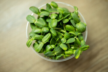 Fresh sunflower sprouts. Sprouting microgreens. Seed Germination at home. Superfood, planting at home at the window. growing sunflower. Vegan and healthy eating concept. selective focus