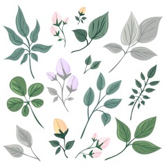 Botanical elements set. Collection of flowers and leaves. Flat isolated vector illustration. Pastel colors.