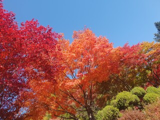 가을