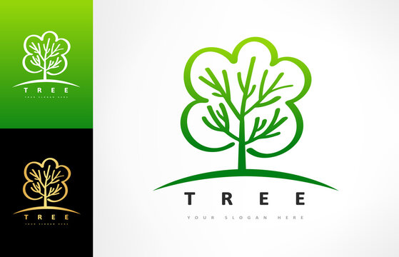 Tree logo vector. Plant Logo design vector nature illustration.