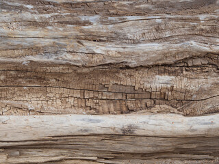 Fototapeta na wymiar Wood texture. The background is made of an old dilapidated wooden board.