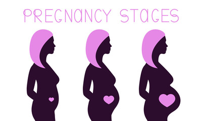 Pregnancy stages infographic. Pregnant woman silhouette during 3 trimesters. Female body changes and belly grows. Vector illustration.
