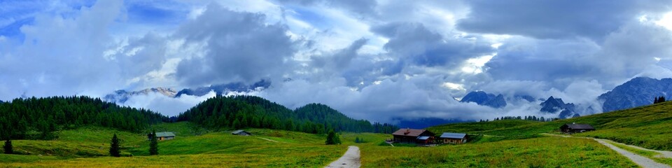 panorama of alpine pasture with wood and mountain range background