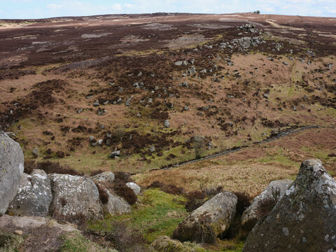 รูปภาพFosse เลือกดูภาพถ่ายสต็อก เวกเตอร์ และวิดีโอ77,590 Adobe Stock