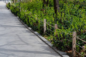 A rope fence in the city park protects flower beds from the entrance of people dogs or bicycle entry into flower beds separates the lawn road road from flower beds