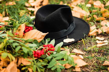 Black hat. Background of green grass and red berries. Beautiful photo.
