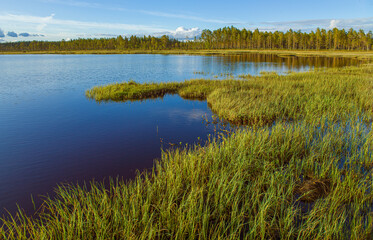 Landscape with lake and forests in central Sweden
