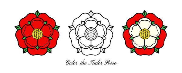 Tudoe rose of Englnd vector illustration.