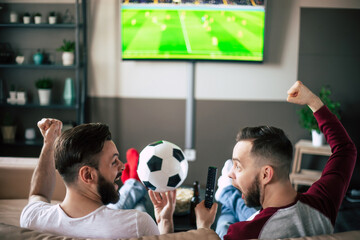 Back view photo of two best friends and fans of football watching some sport match on the TV and drinking beers and eating snacks while cheering for the team on the couch © My Ocean studio