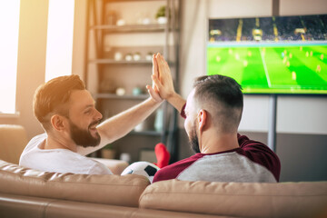 Back view photo of two best friends and fans of football watching some sport match on the TV and drinking beers and eating snacks while cheering for the team on the couch