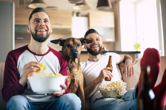 Two happy excited bearded friends watching TV or some sport match with dog while sitting on the couch at home on weekend