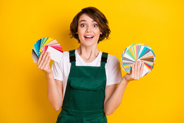 Photo of happy excited crazy amazed woman painter builder hold colorful cards palette isolated on...