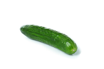One fresh cucumber isolated on white background