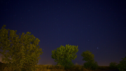 Night clear sky, stars. Trees in the dark.