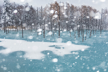 冬の青い池　北海道 美瑛町